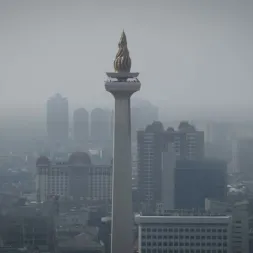 Investor China Mendadak RamaiRamai Serbu RI Apa yang Terjadi